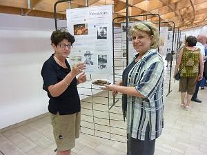 Exode Cap d' Agde- 82